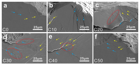Figure 5 The compression lateral surface morphologies of the Vit1 BMG after CCTs